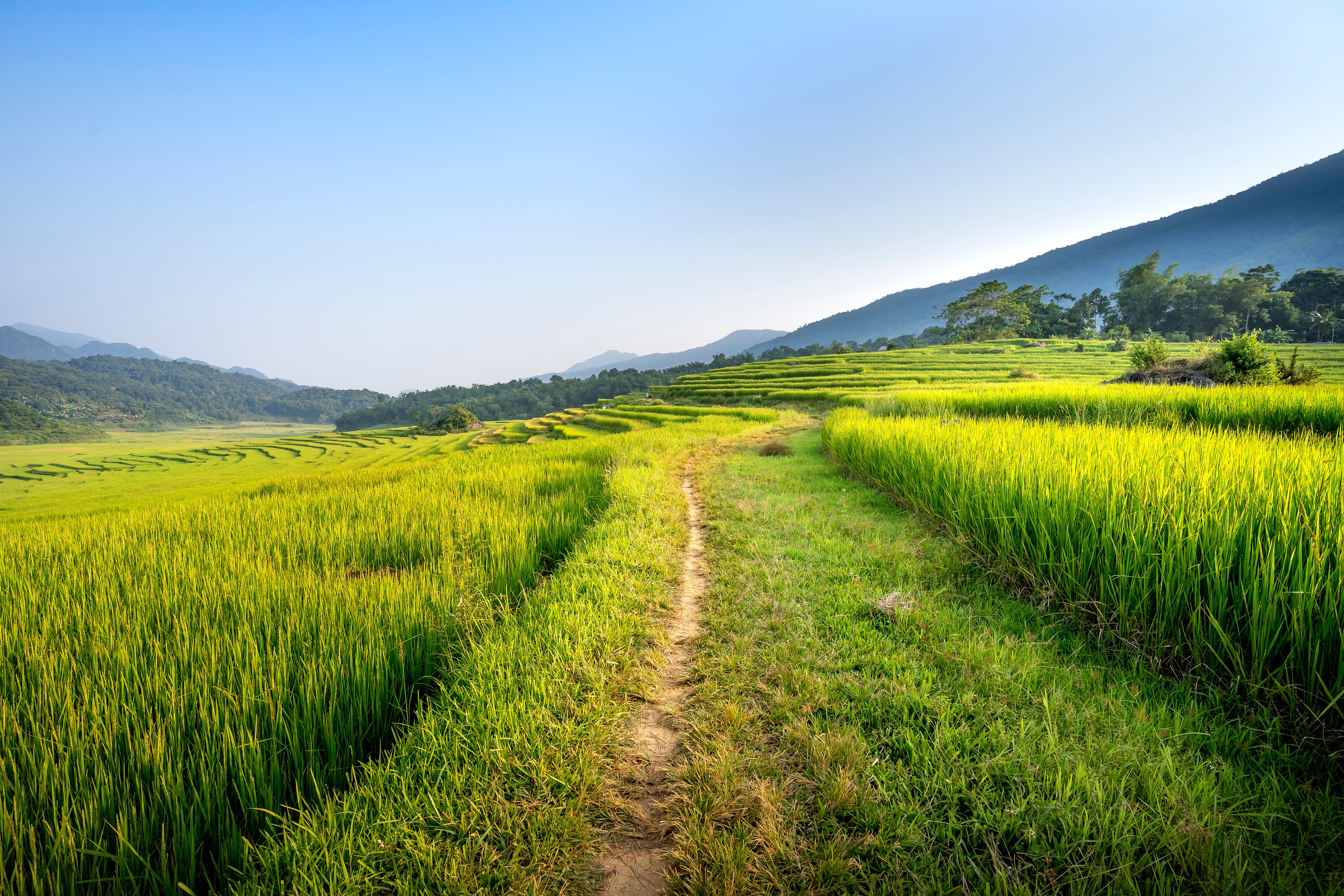 Singletrack