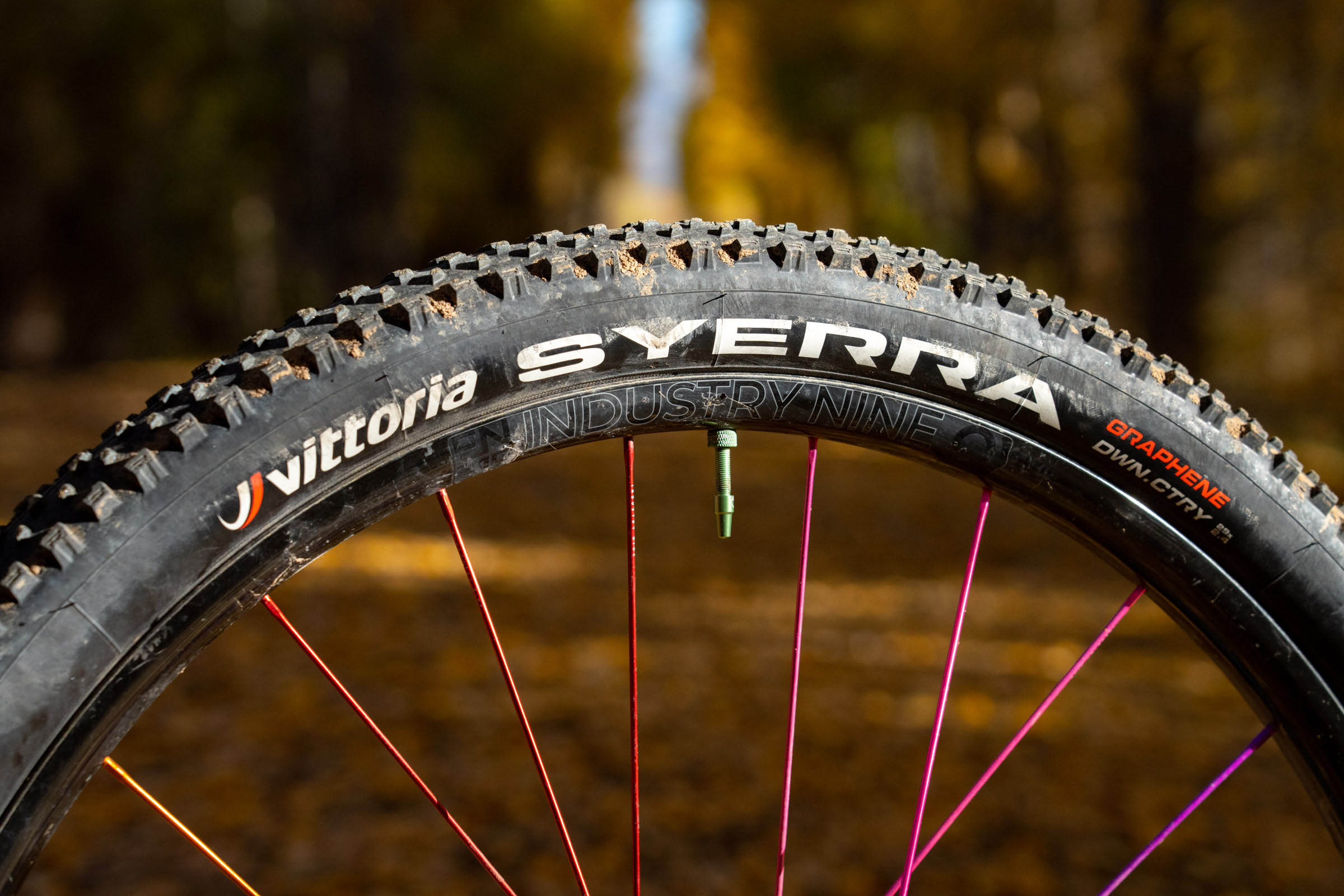 Vittoria Syerra Downcountry